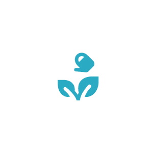 ecological activities