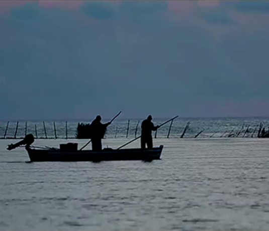 activités écologiques